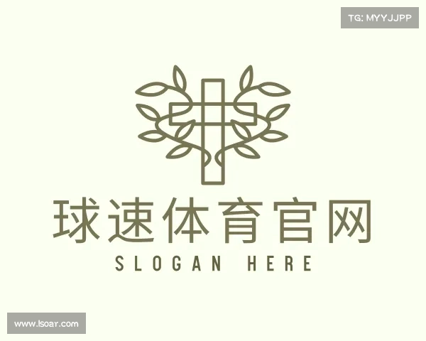 知道球速体育